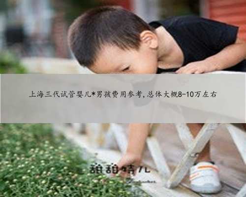 上海三代试管婴儿*男孩费用参考,总体大概8-10万左右