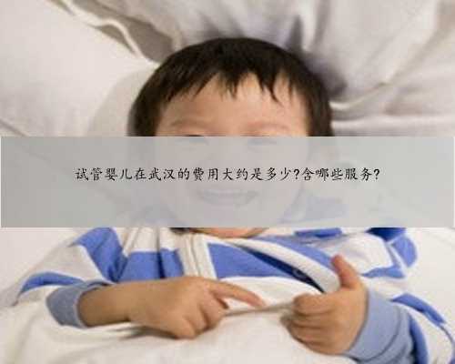 试管婴儿在武汉的费用大约是多少?含哪些服务?