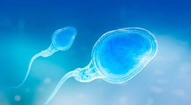 济南哪些医院供卵,试管婴儿胚胎分裂8细胞 如何分级别？_试管婴儿孕早期能吃