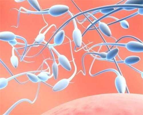 南京三代试管借卵生男孩成功率预估与助孕费用解析