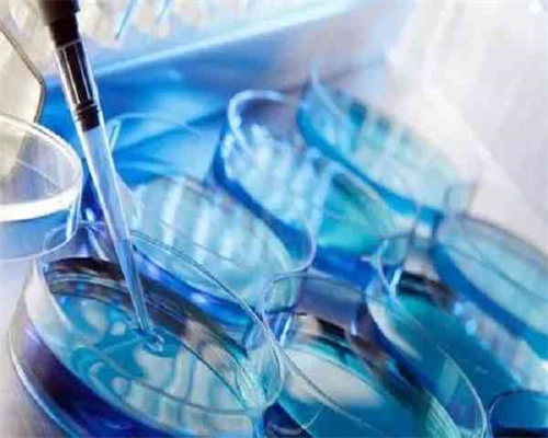 宁波家圆医院借卵代生男孩费用解析与辅助生殖指南