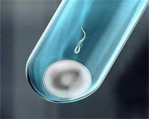 单身人士海外生育指南与辅助生殖选择