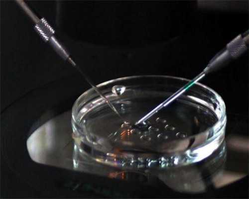 株洲海淀妇幼供卵助孕成功率解析与生育调理指南