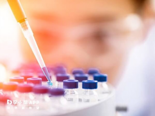 单身女性生育选择与辅助生殖技术探讨