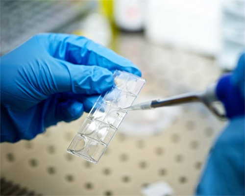 上海AMH0.43伴3个卵泡：低卵巢功能下的助孕与代生希望