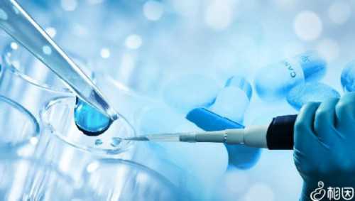 台湾单身女性试管助孕指南与政策解析