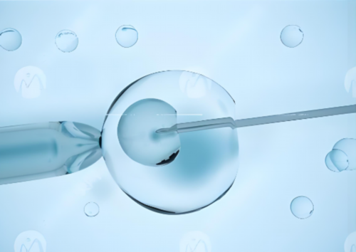 温州家圆医院试管婴儿费用解析与内膜息肉影响探讨