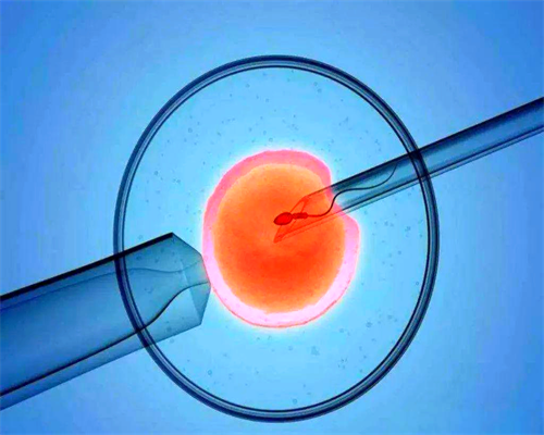 2026山西供卵试管医院选择与费用解析