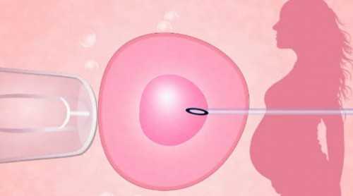 河南试管助孕费用解析与农村合作医疗报销政策