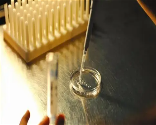 延安正规供卵试管机构排名及供精供卵助孕详情解析