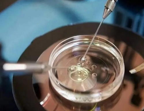 早衰供卵助孕成功分享：从自卵到供卵的顺利试管历程