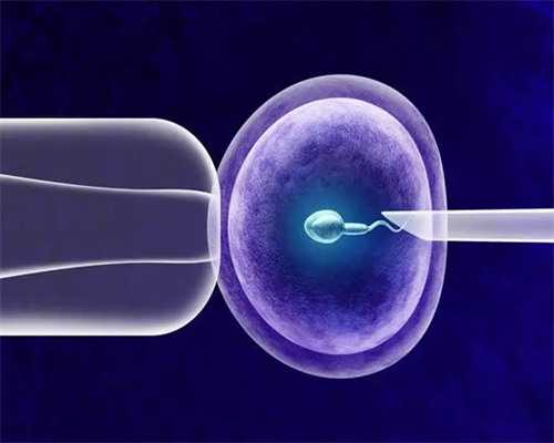 单身生育是否违法？探讨未婚生子法律责任