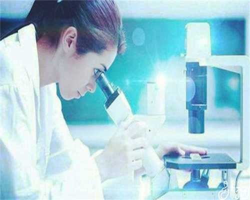 备孕前营养补充指南：叶酸与锌的必要性探讨