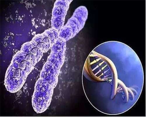 单身女性试管助孕选择与优势解析