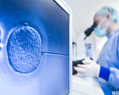 株洲三代试管借卵生男孩成功率与费用解析