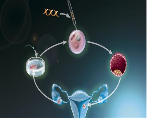 台州三代试管借卵生男孩成功率预估及代生相关解析