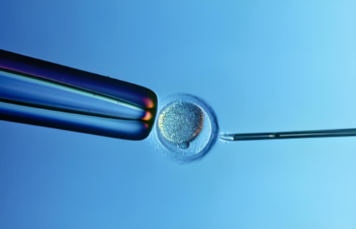 80后单身女性试管助孕选择与生活态度探讨