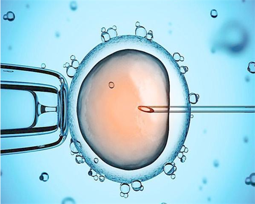 捐卵试管与广州中山试管成功率解析